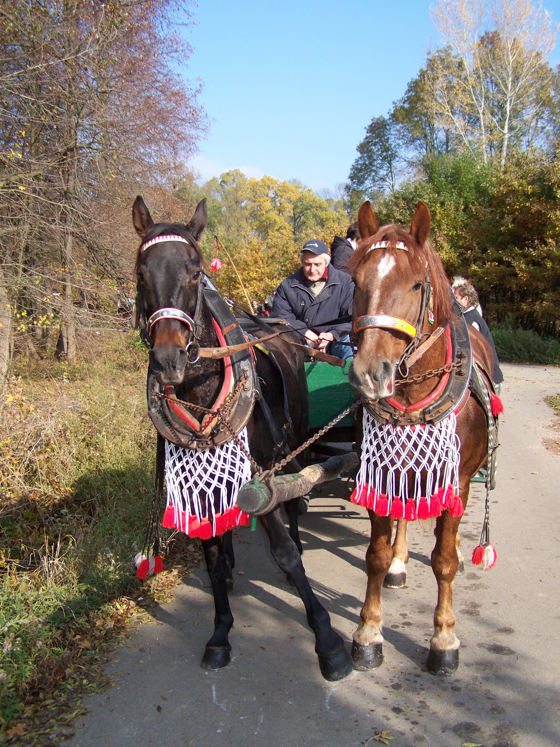 hubert 2009 029.jpg