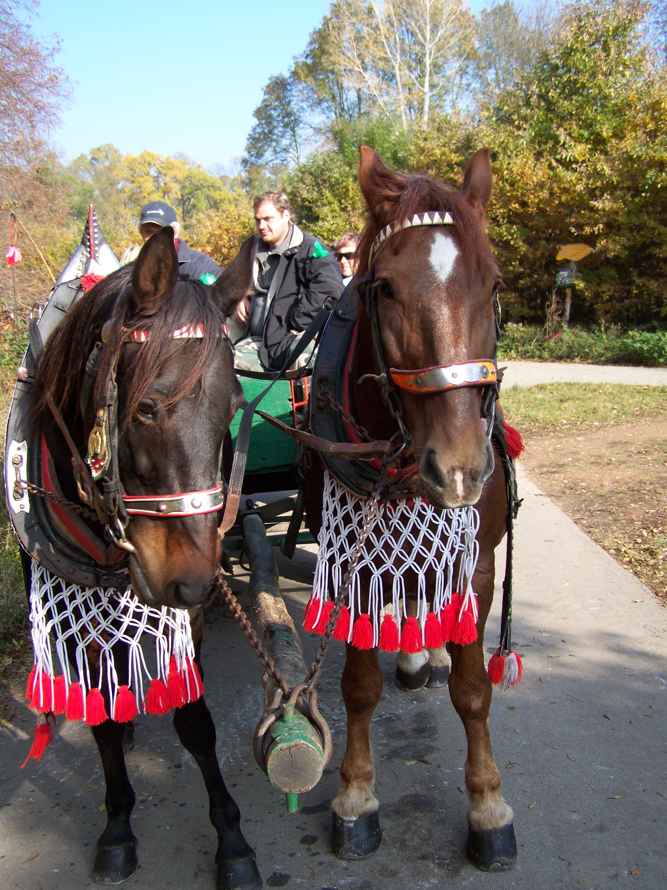 hubert 2009 066.jpg