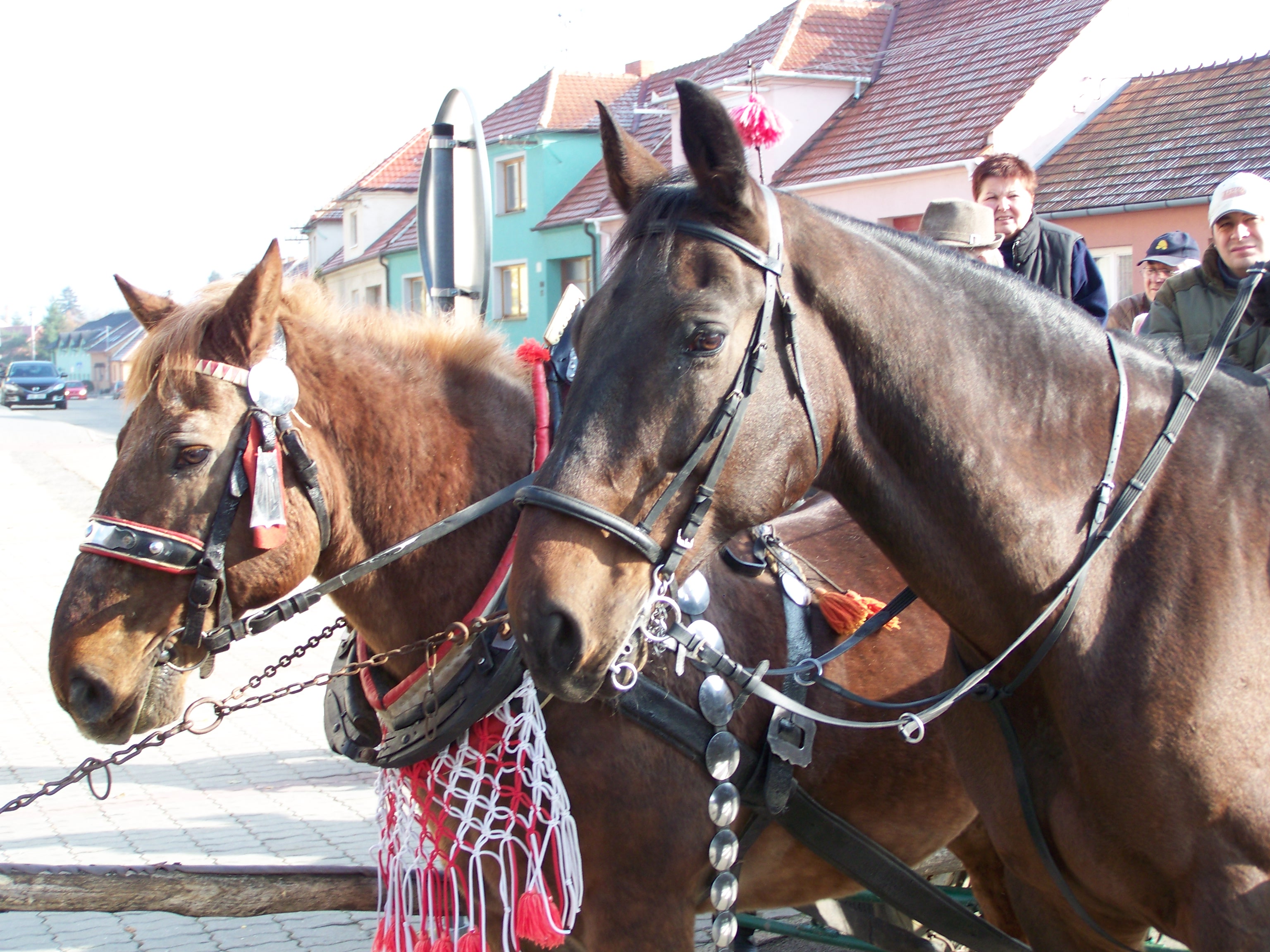 hubert 2009 001.jpg
