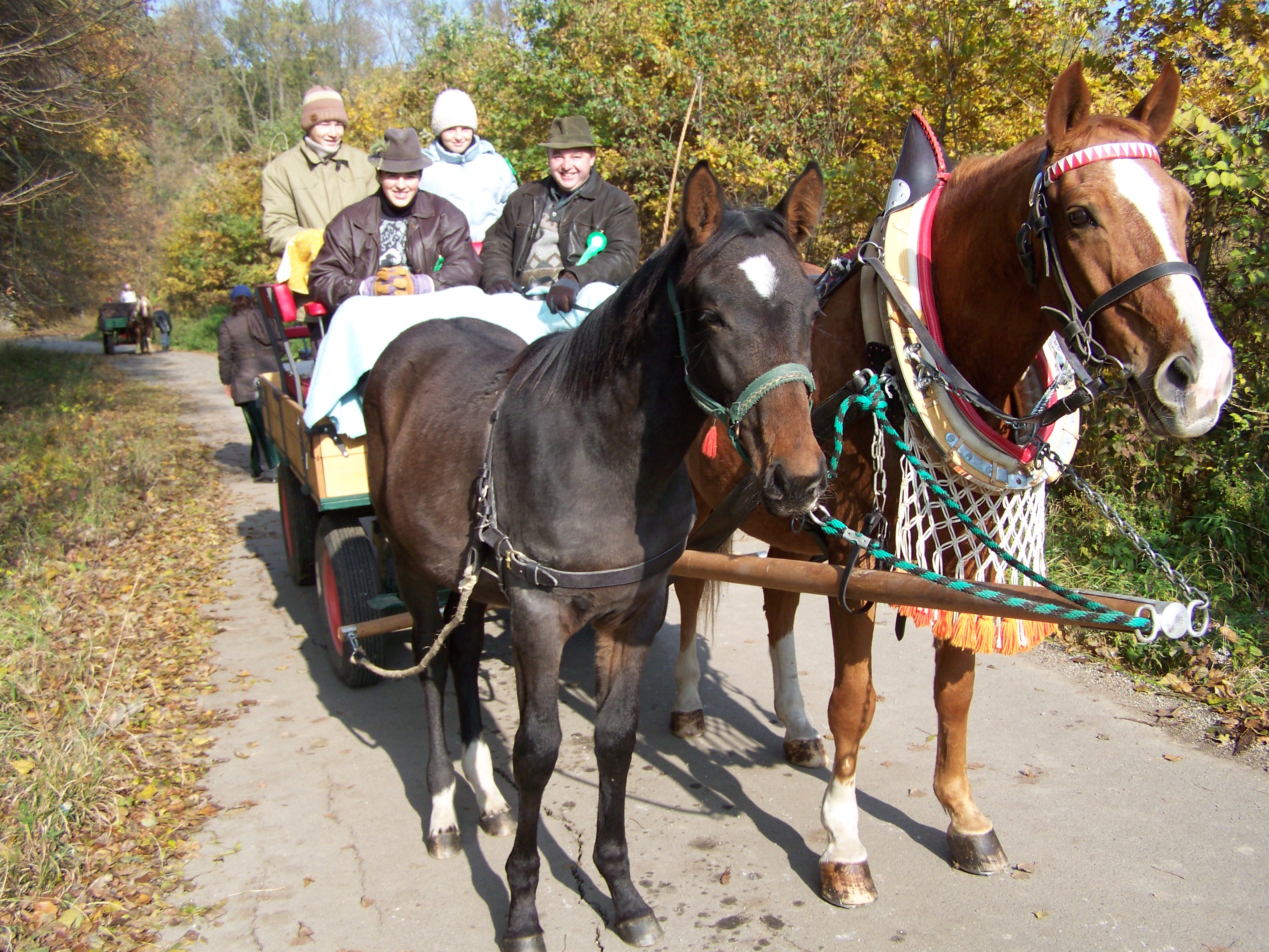 hubert 2009 033.jpg