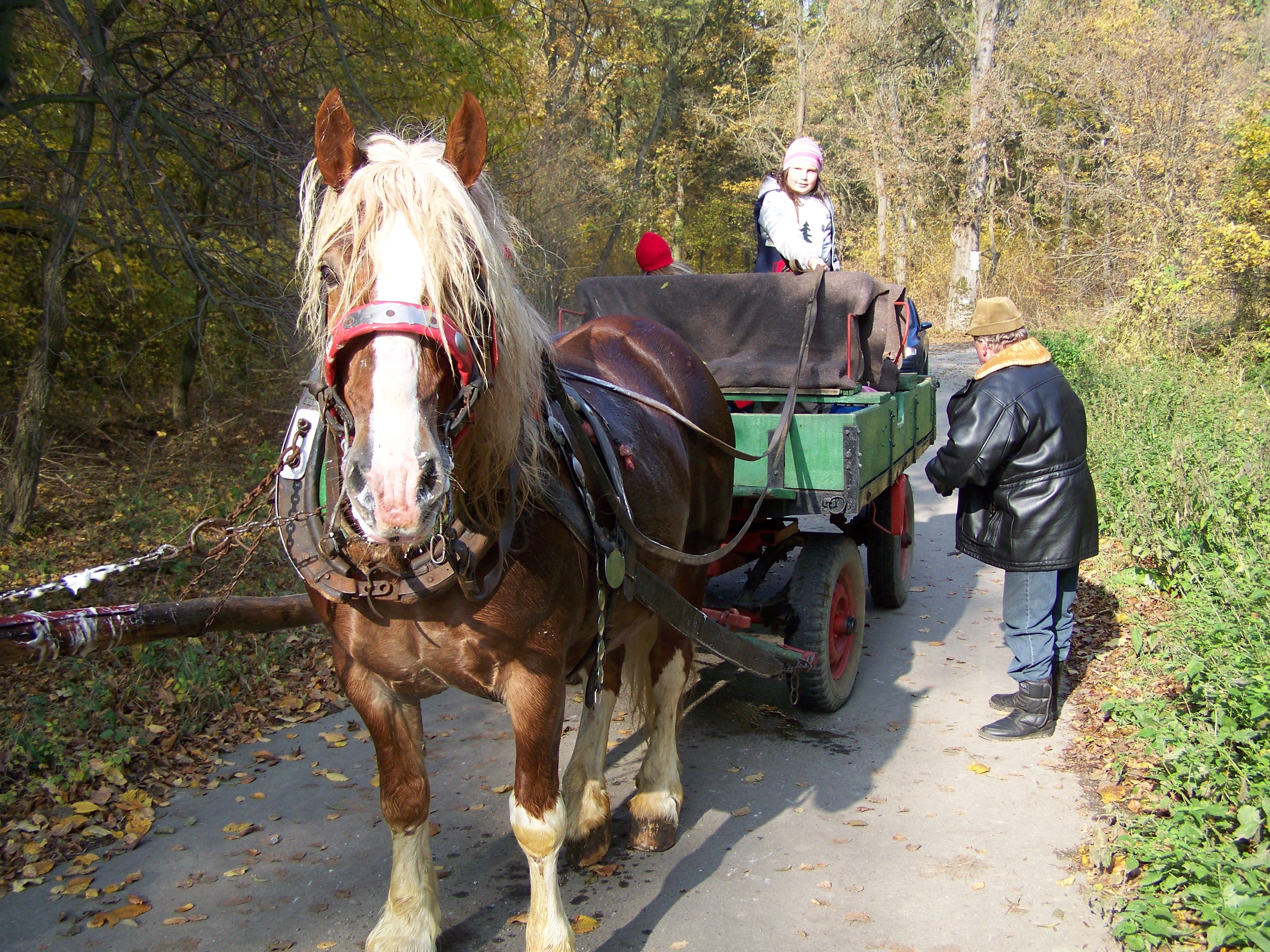 hubert 2009 035.jpg
